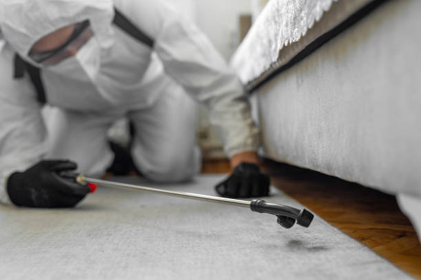 Professional Emergency Pest Control technician working in Floral Park, NY