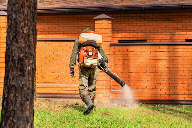 Trusted Bed Bug Control service in Floral Park, NY - Nex Pest Control
